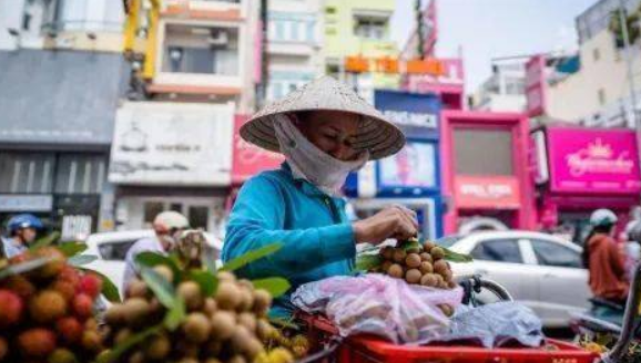 越南水果瞄准中国市场，制定新政策欲赶超泰国
